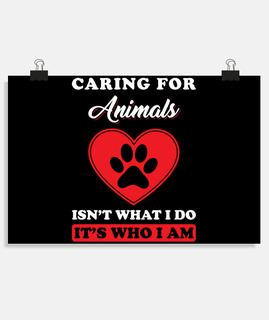 protectores de animales rescate de anim