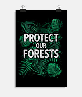 proteger nuestros bosques bosque lluvio
