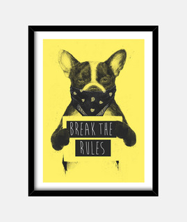 Rebel dog yellow