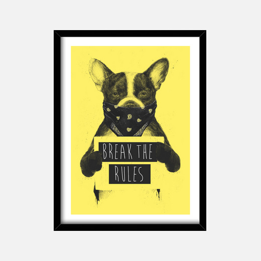 rebel dog yellow