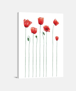 Tiempo de amapolas