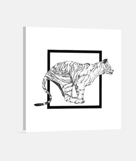 Tigre