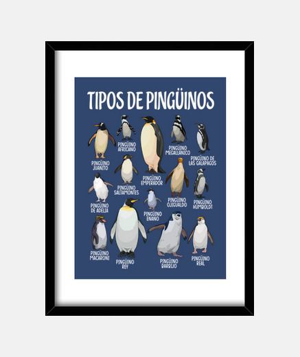 Cuadro Tipos de Pingüinos Amante Del Pigüino Animales