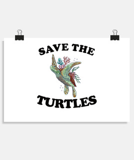 tortuga salva a las tortugas