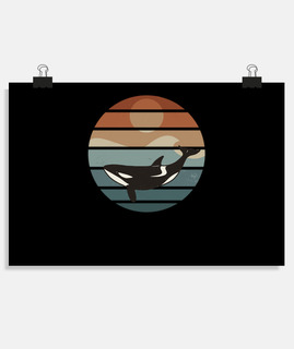 tueur d39animaux marins baleine vintage