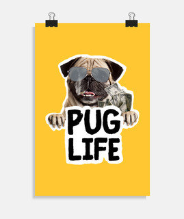 umorismo del carlino del cane life del 