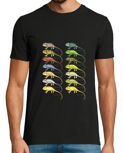 Image of chameleons