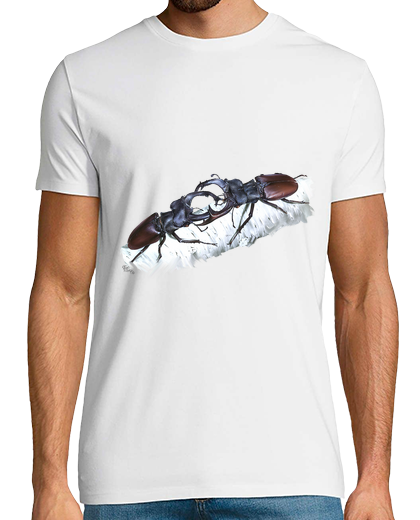 Image of stag beetles