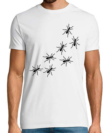 Image of Ants