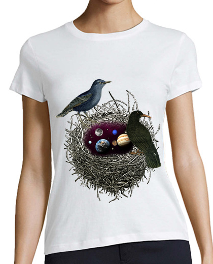 Image of nest