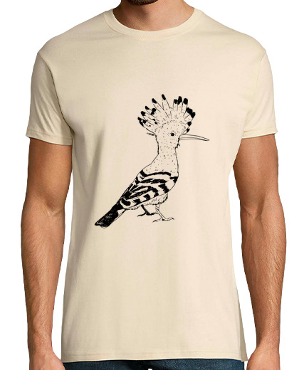 Image of hoopoe black and white drawing, ornithologist