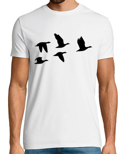 Image of Flying geese birds