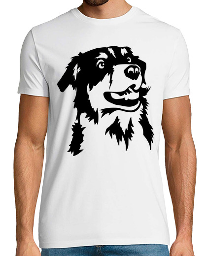 Image of Australian shepherd