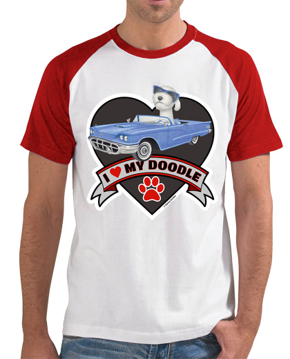 Image of Cute labradoodle in funny blue car