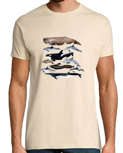 Image of whales, sperm whales, whales and dolphins