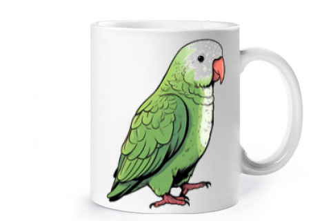 Image of green widow conure parakeet cup coffee tea croissants herbal tea infusion