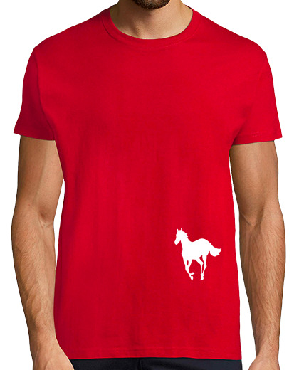 Image of white pony
