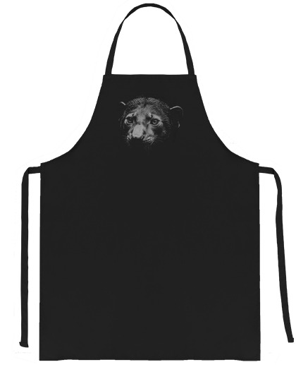 Image of gray-headed marten tayra mammal trainer employee agent position server seller