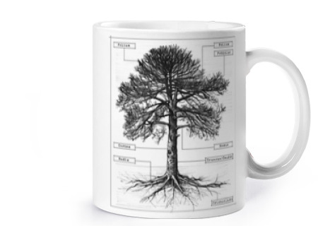 Image of tree trunk leaves roots branches cup coffee tea