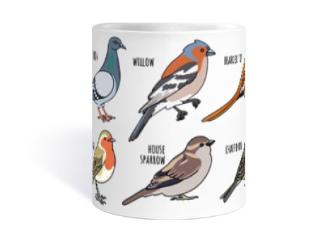 Image of birds robin pigeon titmouse cup coffee tea croissants herbal tea infusion