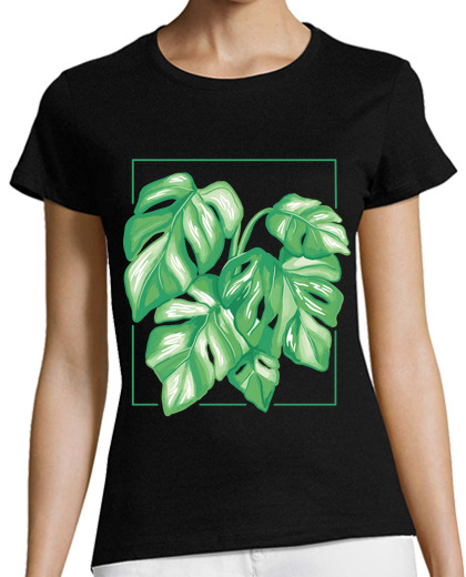 Image of monstera variegata green plant leaves