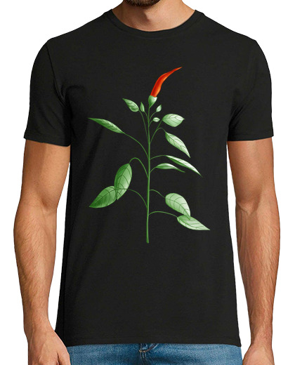 Image of Hot Chili Pepper Plant Botanical Drawing