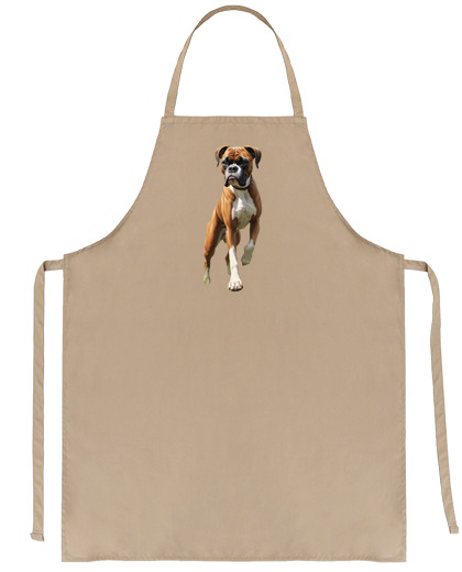 Image of fawn boxer dog dogs female dog club kitchen salesman bartender educator artisan group names in