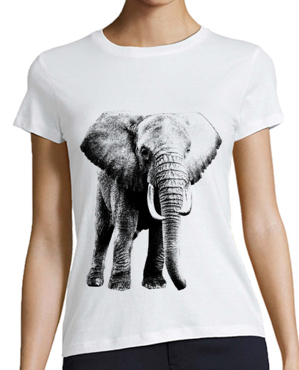 Image of africa elephant