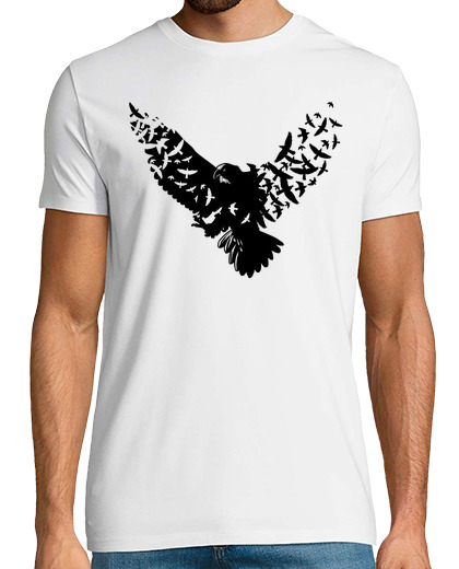 Image of birds eagle