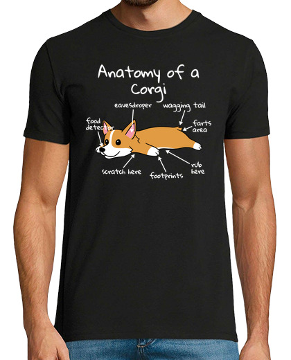 Image of anatomy of a corgi dog