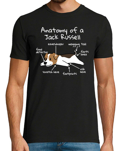 Image of anatomy of a jack russell terrier