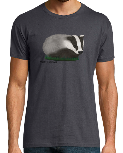 Image of badger in the grass
