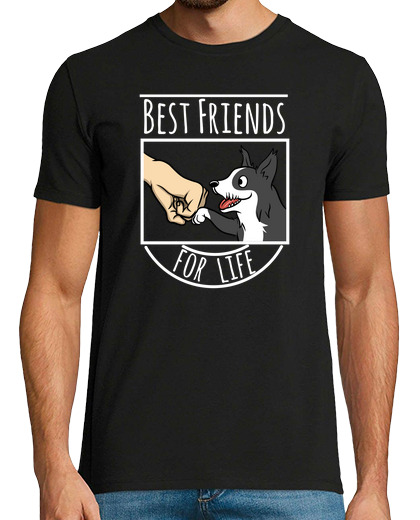 Image of border collie best friends for life