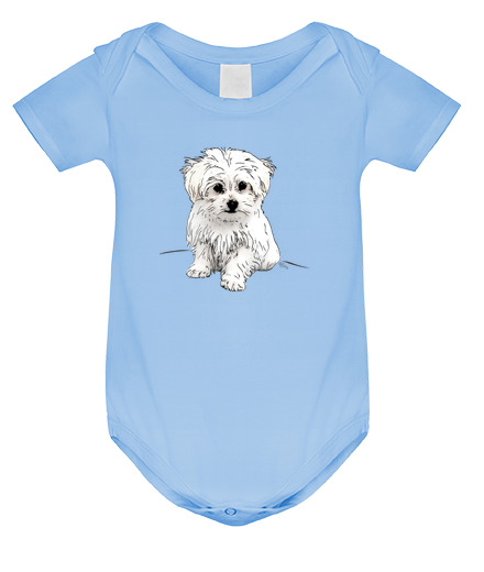 Body neonato bichon maltese