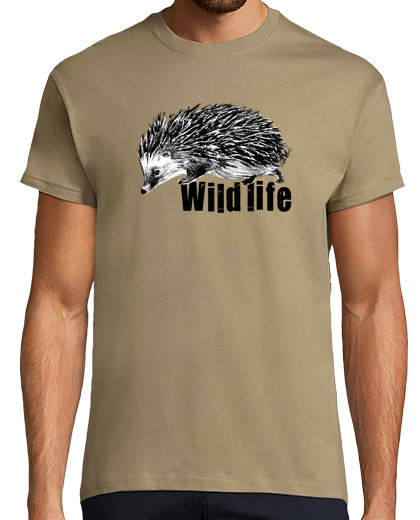 Image of hedgehog wildlife