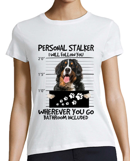 Image of bernese mountain