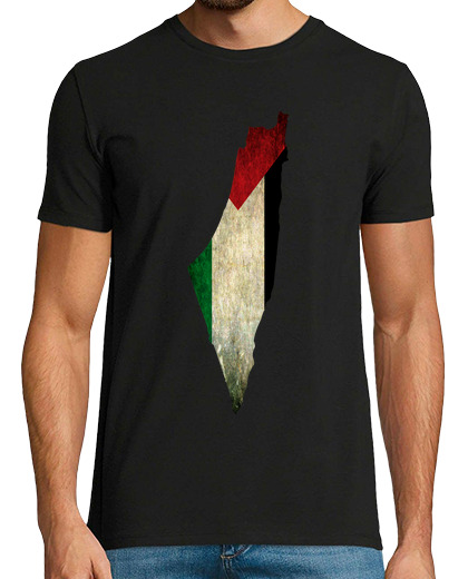 Image of palestine map flag