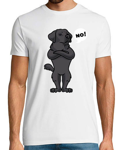 Image of stubborn black labrador retriever dog