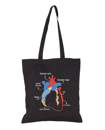 Image of anatomical heart medical art