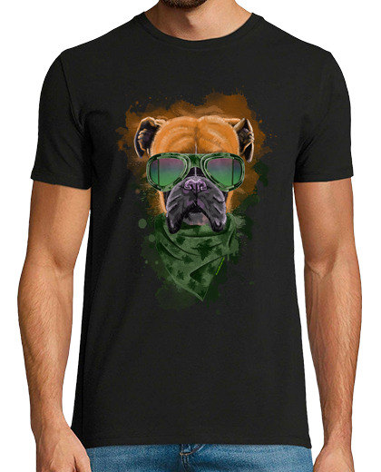 Image of aviator boxer