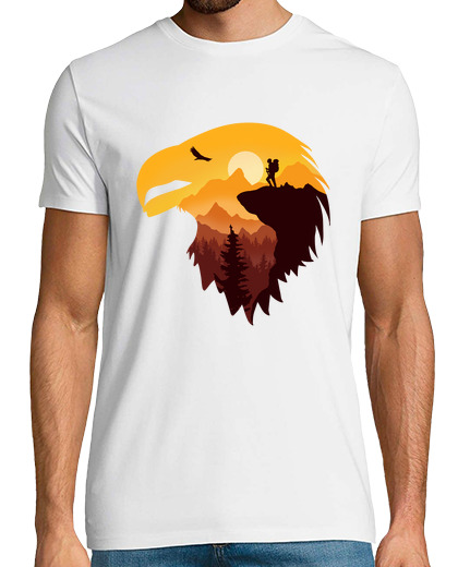 Image of eagle silhouette and nice colorful land