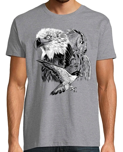 Image of eagle hawk and owl