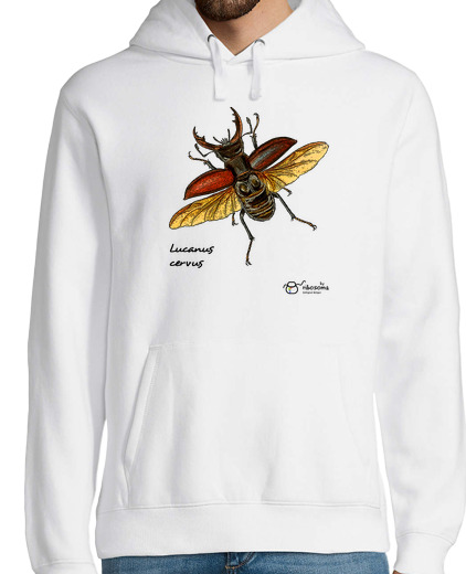 Sweat-shirt À Capuche Pour Homme lucanus cervus