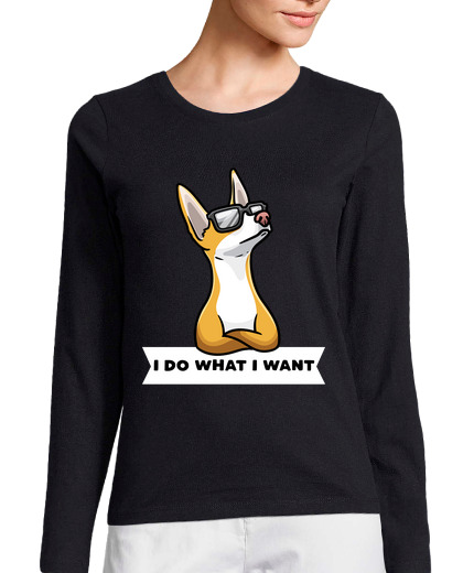 Image of stubborn podenco dog