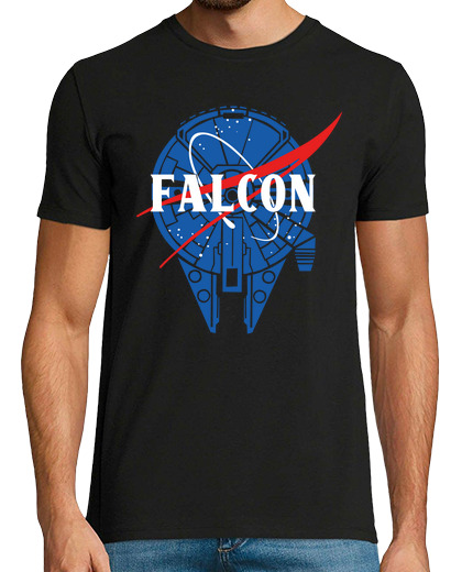 Image of falcon nasa