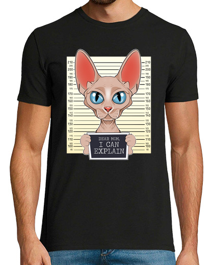 Image of sphynx cat mom dear mom i can explain
