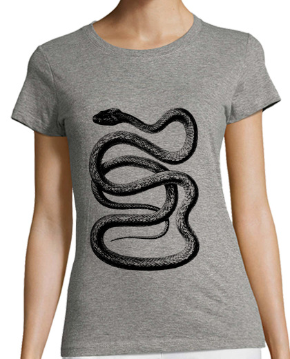 Image of snake - snake - snake passion