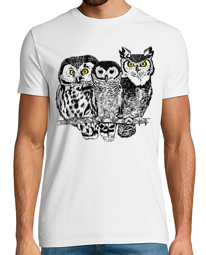 Image of 3 owls