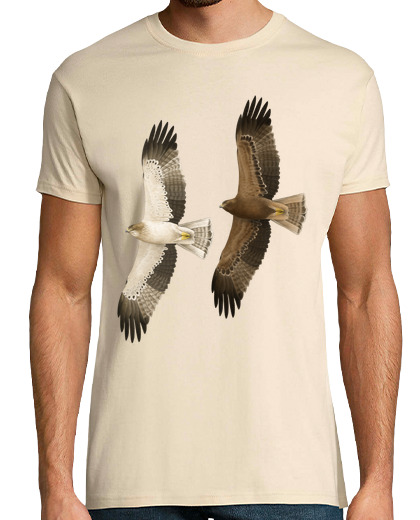Image of booted eagle b
