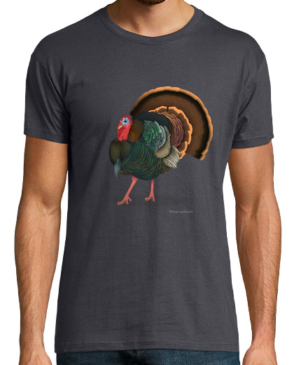 Image of turkey / turkey